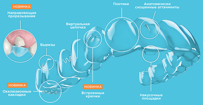 прозрачные каппы Spark