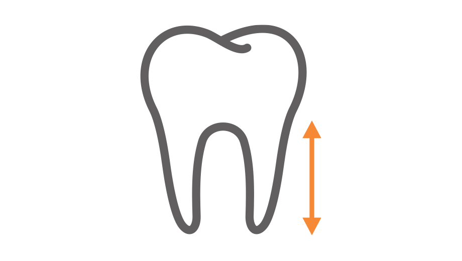 TruRoot™ Size