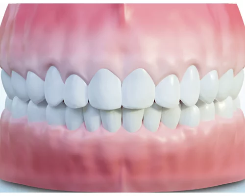 Правильный прикус